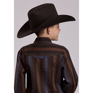 Boys Brown/Blue Stripes L/S Roper Shirt