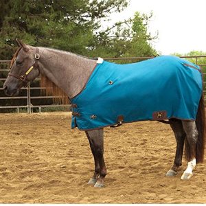 Nylon Day Sheet Teal/Chocoate 7
