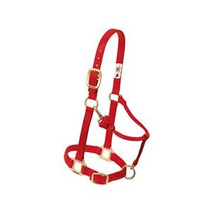 Halter Pony