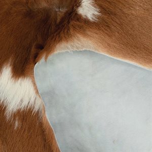 Hair On Calf Hide