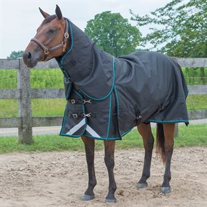 Canadian Horsewear Calyso Diablo 300gr Liner Compatible