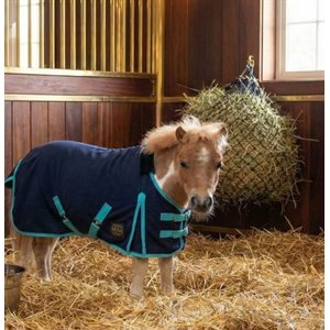 Canadian Horsewear Mini Cooler Navy