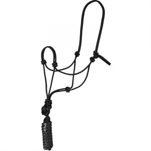 Licou éthologique avec longe