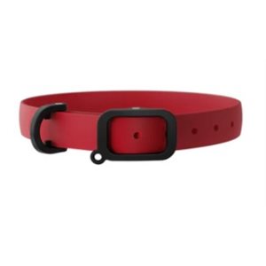 Nuvuq Dog Collar