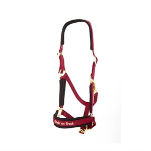 Werano Halter Complet