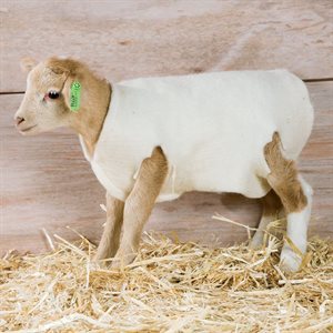 Woolover Lamb Covers