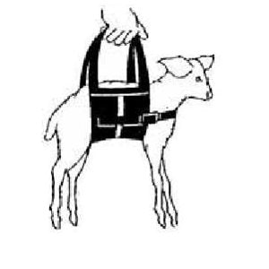 Lamb Sling Net Tex