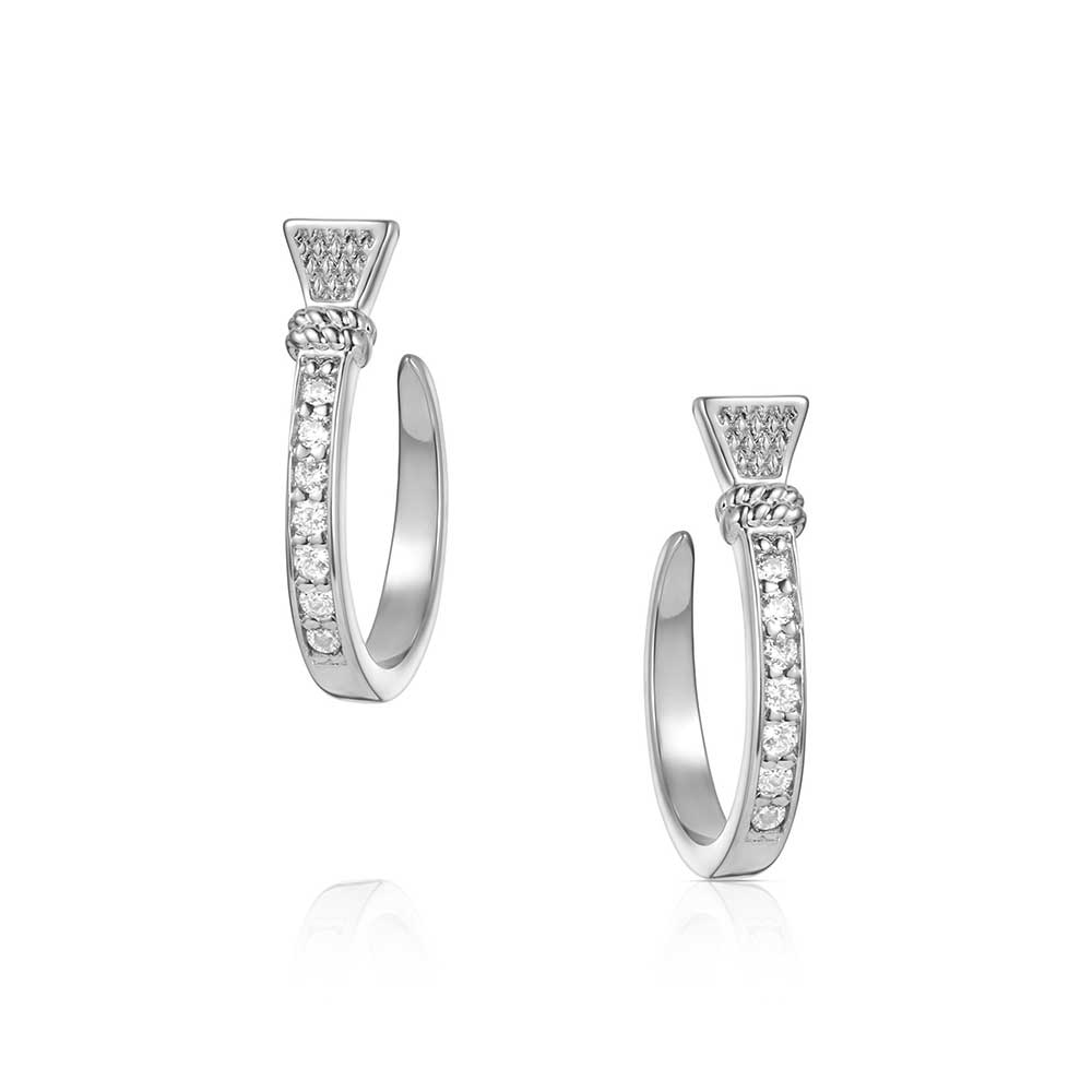 Horseshoe nail hoop earring