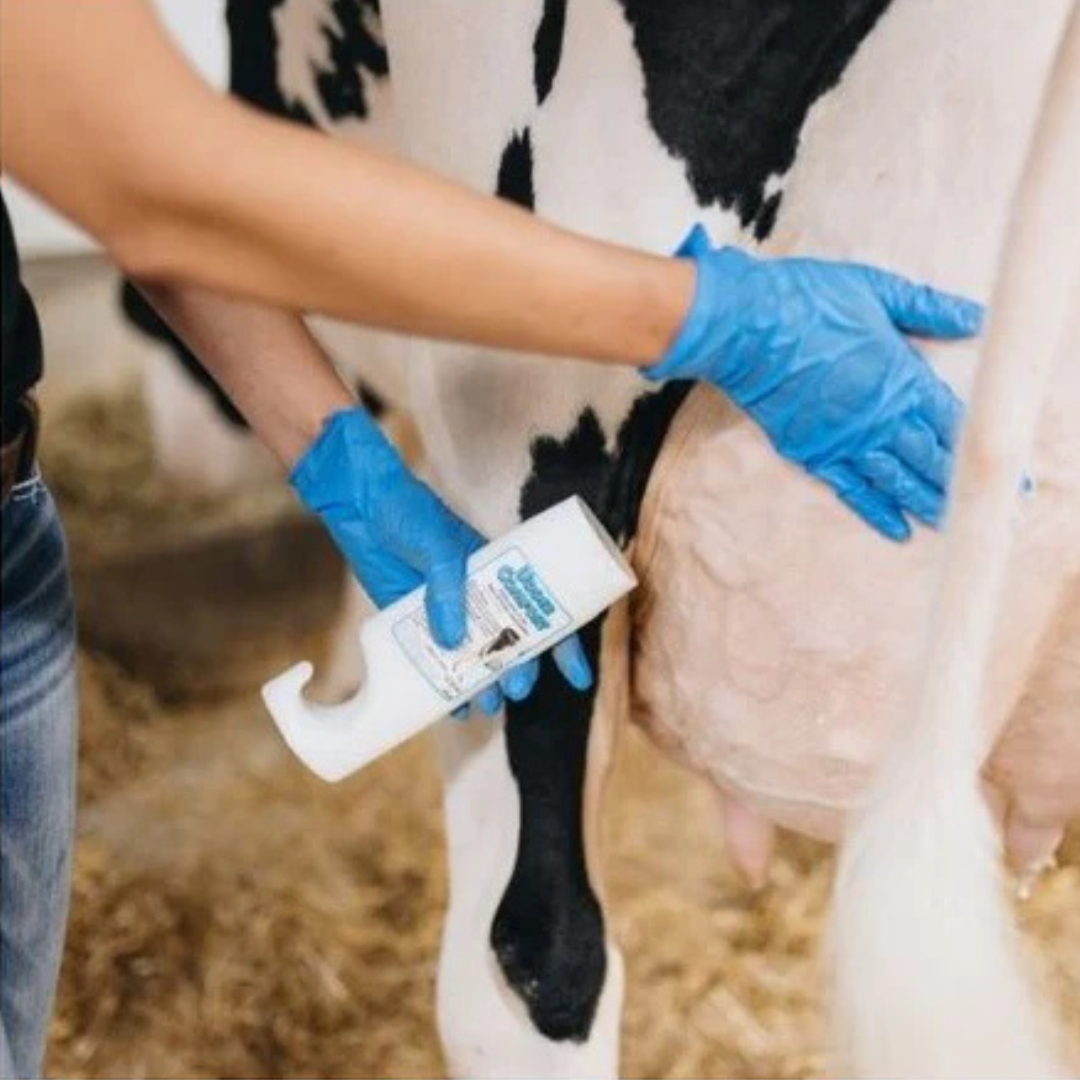 Cattle Health Care