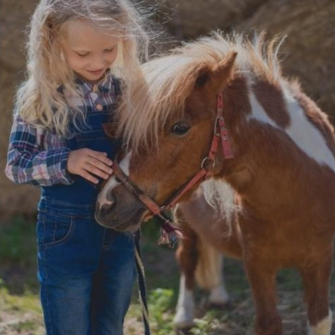Mini & Pony