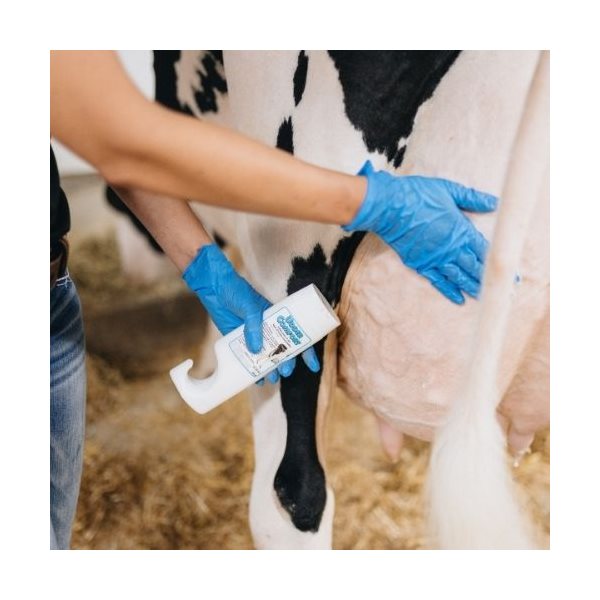 Cattle Health Care