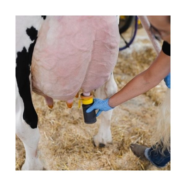 Milking