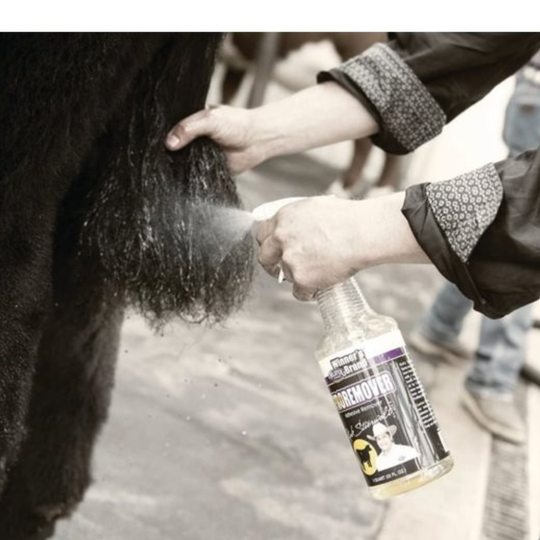 Cattle Grooming Other