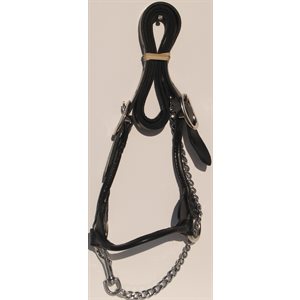 Cow Show Halter Black Small
