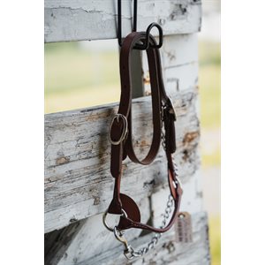 Baby Calf Leather Halter – Xxs – Dark Brown