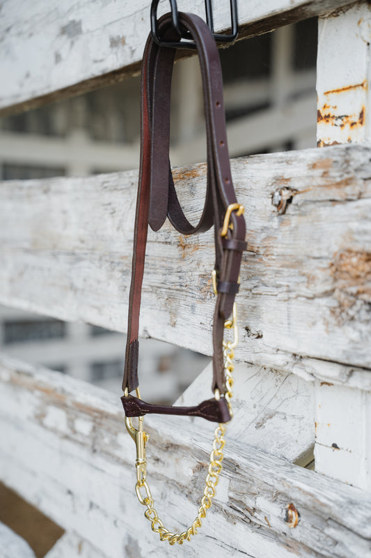 Leather Halter Slim Line Round Nose Dark Brown Calf