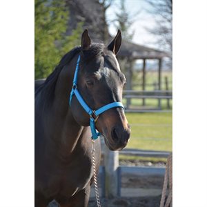 Nylon Halter 1"