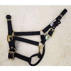 Collection Signature Halter WR