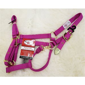 Collection Signature Halter WR