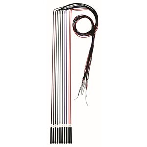 Lunge Whip Econo