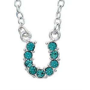 Horshoe Necklace