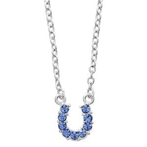 Horshoe Necklace