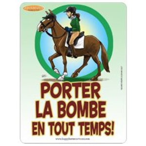 Panneau de grange La Bombe...