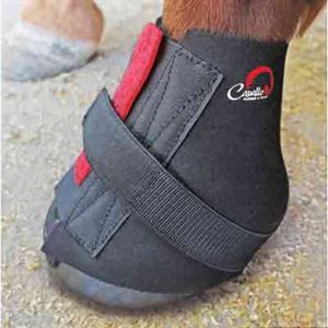 Pastern Wraps Cavallo