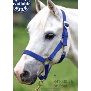 Econo Halter Cav