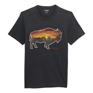 Wrangler Dimension T Shirt For Men