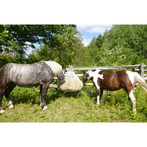 Distributeur Lent de Foin Mini