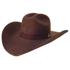 Brown Felt Hat