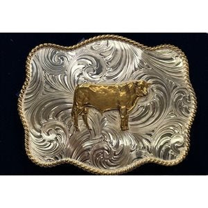 2T Scallop Swirl Champion Bull