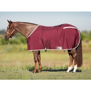 Big D Nylon Stable Sheet New Color