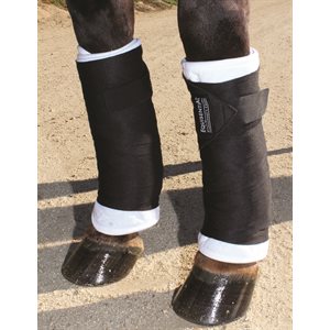 Eq Standing Bandage