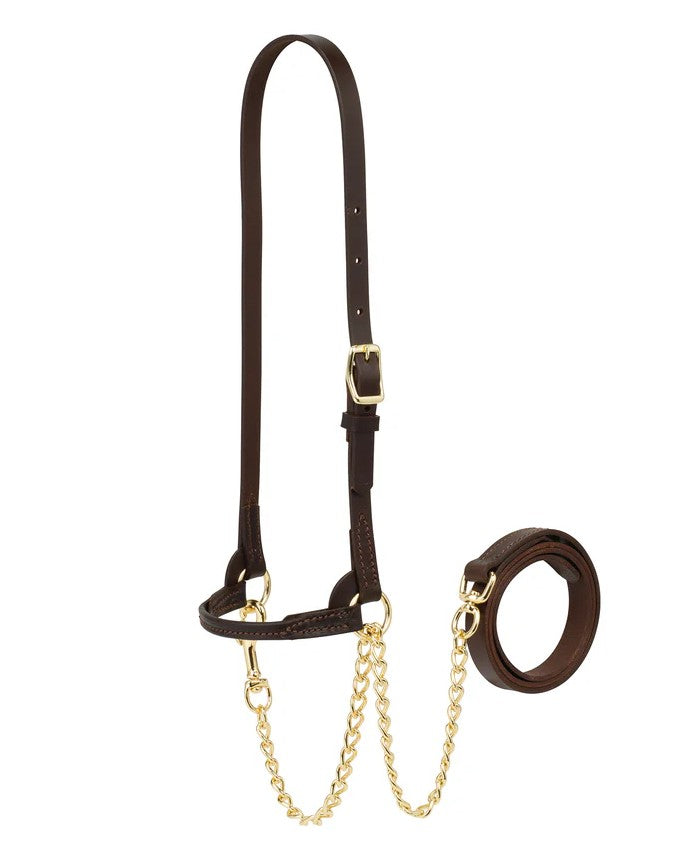 Rounded Show Halter Brown Xs