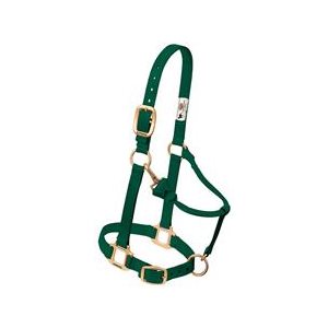 Halter Suckling