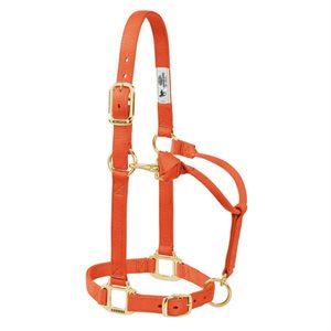 Halter Suckling