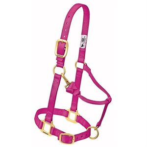 Halter Suckling