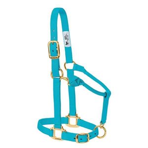 Halter Suckling