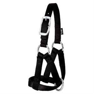 Licou Chèvre Petit Nylon Noir