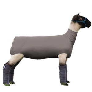 Tube en spandex pour moutons