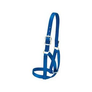 Cow Barn Halter Large Blue Bl