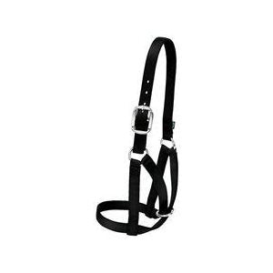 Cow Barn Halter Large Blue Bl