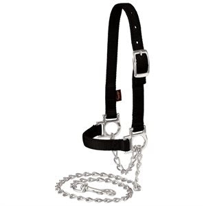 Licou Noir pour Mouton