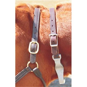 Collier de contention en cuir