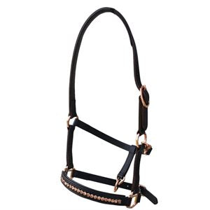 Sage Family Rose Gold Mini Foal Halter