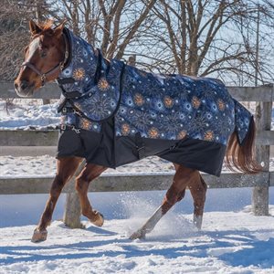Ch Celestial Rainsheet 69