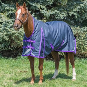 Regal Rainsheet 7