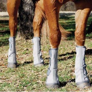 Fly Boots By Canadian Horsewear Xl
